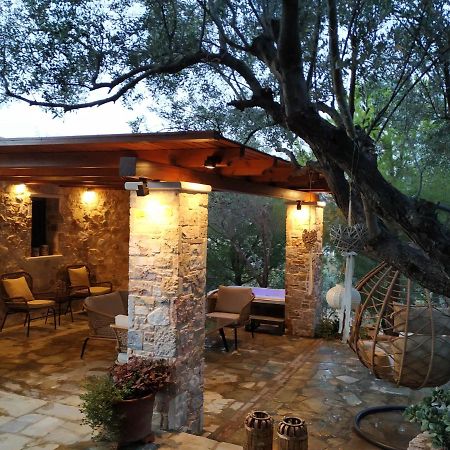 Villa Vena Palaia Fokaia Bagian luar foto