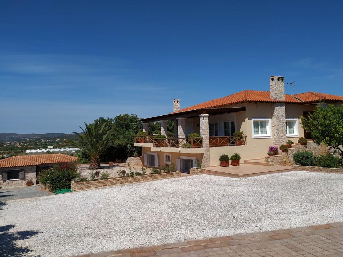 Villa Vena Palaia Fokaia Bagian luar foto
