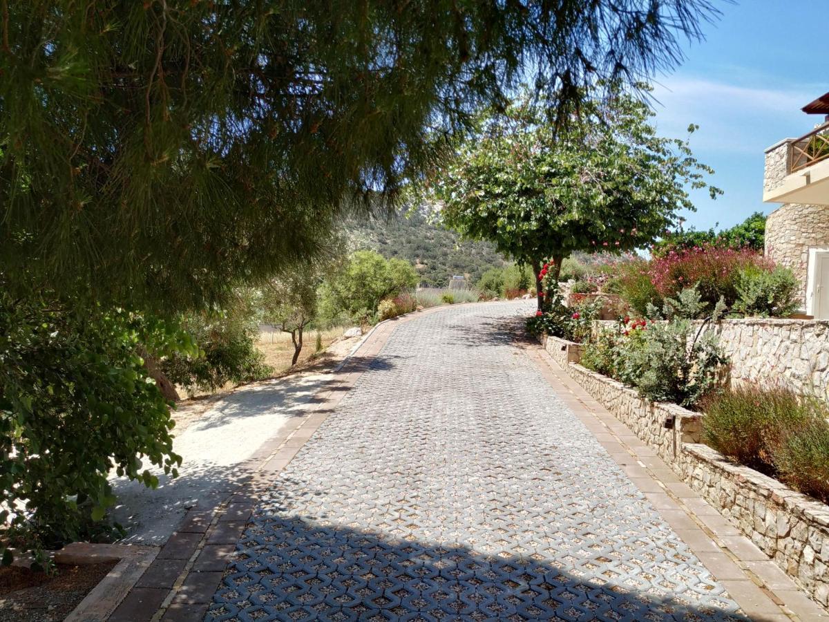 Villa Vena Palaia Fokaia Bagian luar foto