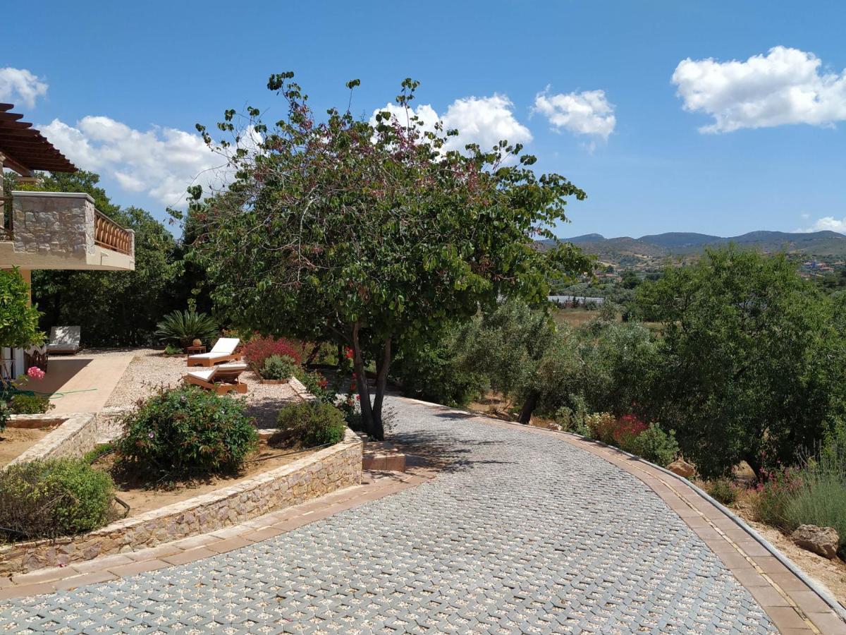 Villa Vena Palaia Fokaia Bagian luar foto