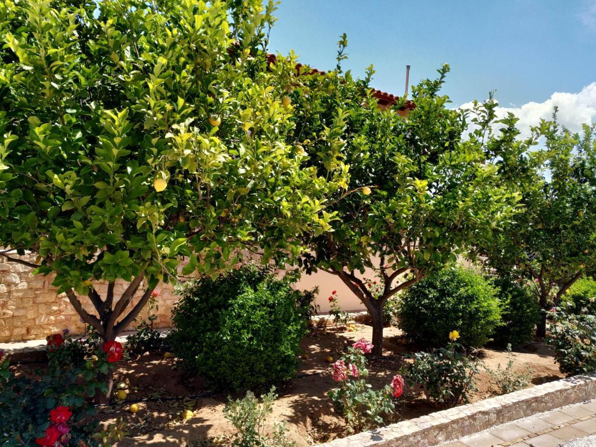 Villa Vena Palaia Fokaia Bagian luar foto