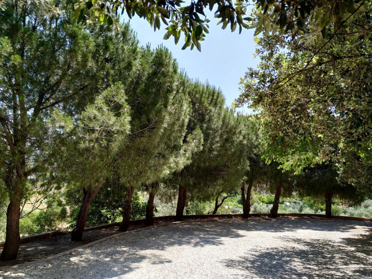 Villa Vena Palaia Fokaia Bagian luar foto