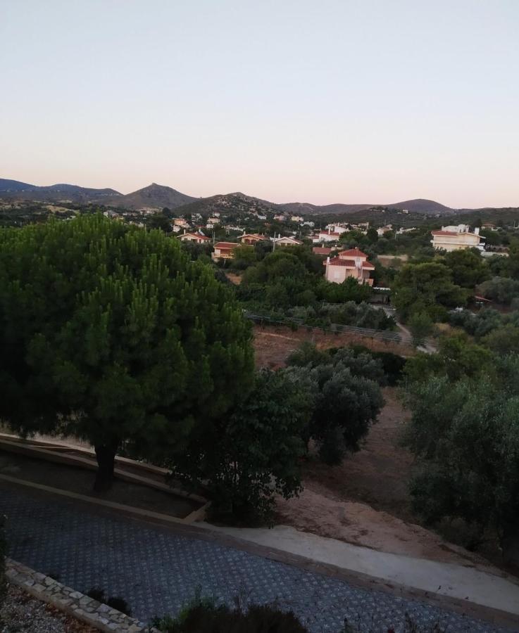 Villa Vena Palaia Fokaia Bagian luar foto
