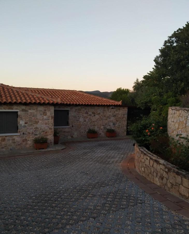 Villa Vena Palaia Fokaia Bagian luar foto