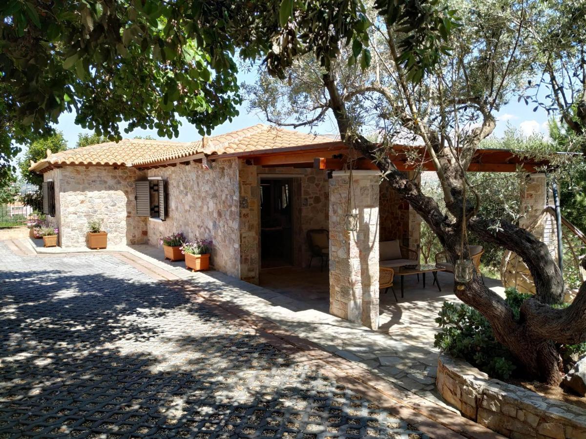 Villa Vena Palaia Fokaia Bagian luar foto