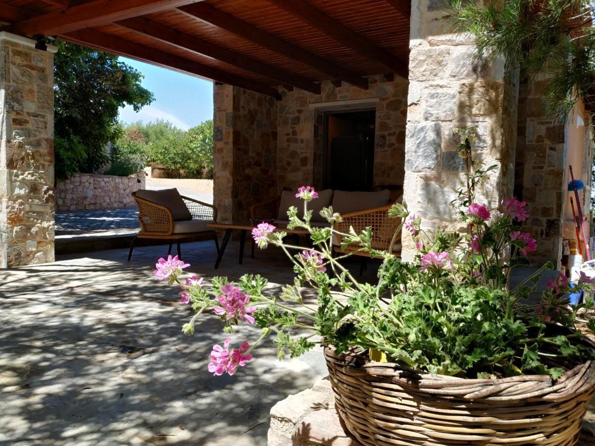 Villa Vena Palaia Fokaia Bagian luar foto